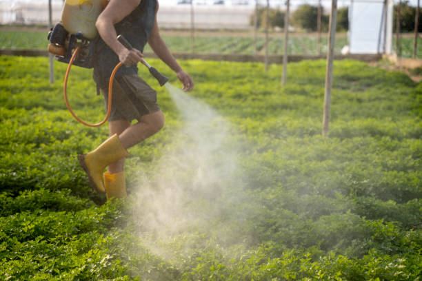 Best Pest Prevention Services  in Spring Grove, IL