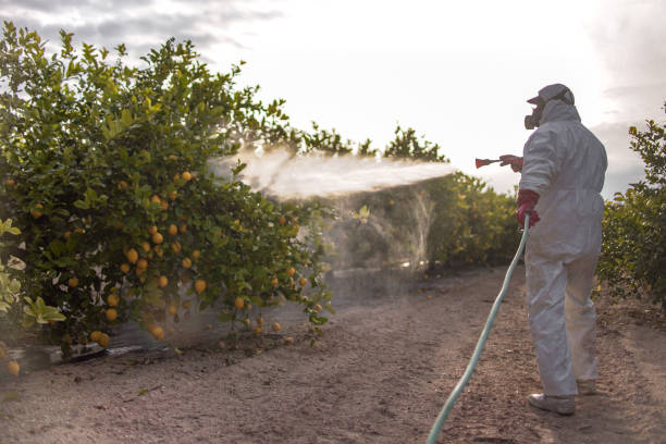 Wildlife Control Services in Spring Grove, IL