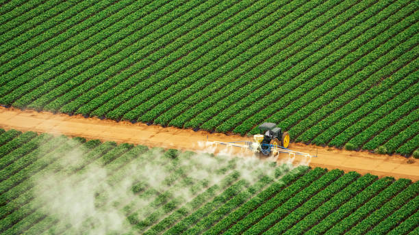 Best Pest Removal Services  in Spring Grove, IL