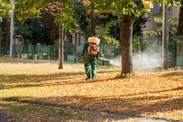 Best Exterminator Services  in Spring Grove, IL